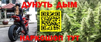 ECSTASY Новодвинск