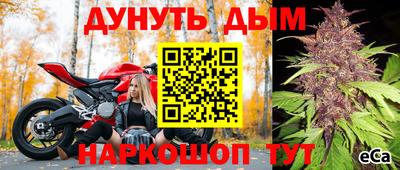 гидра Новокубанск