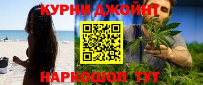 гидра Новокубанск