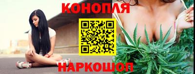 ECSTASY Новодвинск