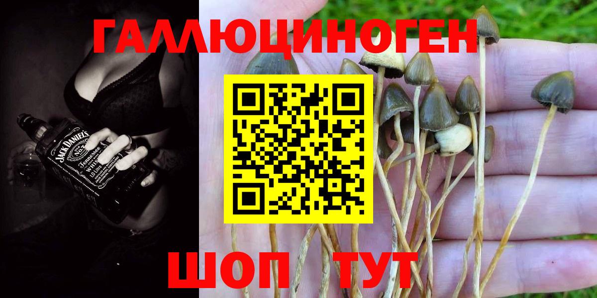 Псилоцибиновые грибы GOLDEN TEACHER  Вход с VPN  Псилоцибиновые грибы MAGIC MUSHROOMS  Сегежа 